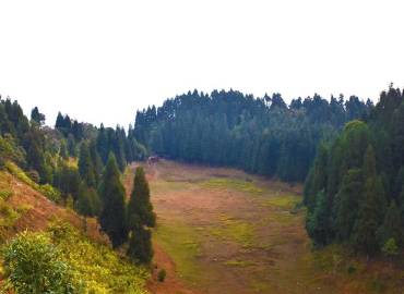 Nature Lover Homestay -Sittong Homestay